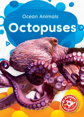Octopus - Octopuses
