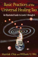 Practici de bază ale Tao vindecării universale: Un ghid ilustrat pentru nivelurile de la 1 la 6 - Basic Practices of the Universal Healing Tao: An Illustrated Guide to Levels 1 Through 6