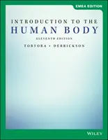 Introducere în corpul uman - Introduction to the Human Body