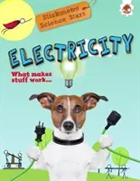 Electricitate - Stickmen Science Stars - Electricity - Stickmen Science Stars