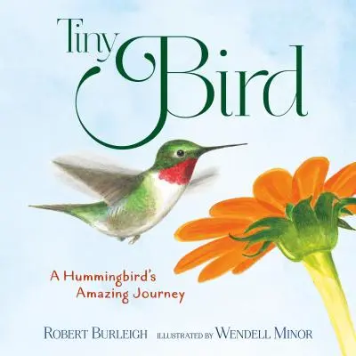 Tiny Bird: Călătoria uimitoare a unei păsări colibri - Tiny Bird: A Hummingbird's Amazing Journey
