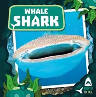 Rechinul balenă - de la dinți la coadă - Whale Shark - Teeth to Tail