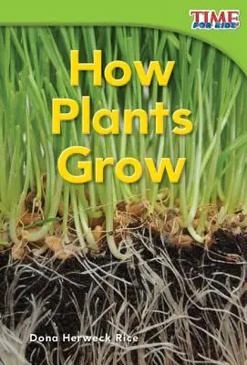 Cum cresc plantele - How Plants Grow