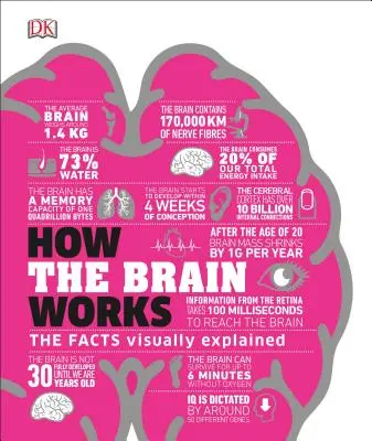 Cum funcționează creierul: Explicarea vizuală a faptelor - How the Brain Works: The Facts Visually Explained