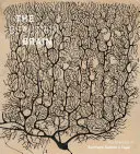 Creierul frumos: Desenele lui Santiago Ramon Y Cajal - The Beautiful Brain: The Drawings of Santiago Ramon Y Cajal