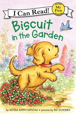 Biscuit în grădină - Biscuit in the Garden
