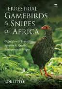 Păsări de vânătoare terestre și lilieci din Africa: Guineafowls, Francolins, Spurfowls, Quails, Sandgrouse & Snipes - Terrestrial Gamebirds & Snipes of Africa: Guineafowls, Francolins, Spurfowls, Quails, Sandgrouse & Snipes