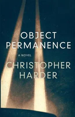 Permanența obiectelor - Object Permanence