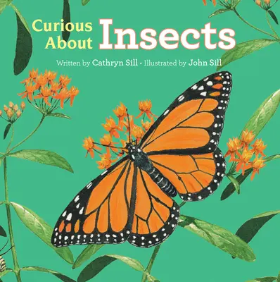 Curioși despre insecte - Curious about Insects