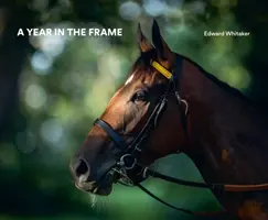 Un an în cadru - A Year in the Frame