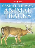 Urme de animale din Saskatchewan - Saskatchewan Animal Tracks