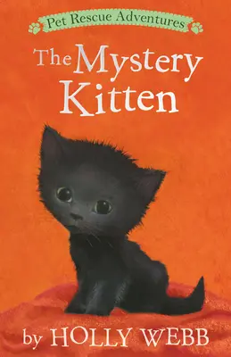 Pisicuța misterioasă - The Mystery Kitten