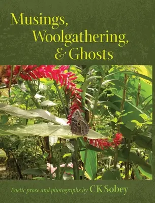 Musings, Woolgathering, & Ghosts: Poetic and Visual Offerings from My Life to Yours