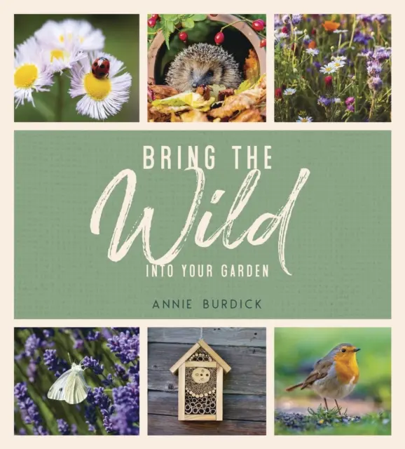 Aduceți sălbăticia în grădina dvs. - Sfaturi simple pentru a crea un refugiu pentru animale sălbatice - Bring the Wild into Your Garden - Simple Tips for Creating a Wildlife Haven