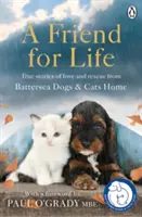 Prieten pentru viață - Friend for Life