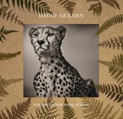 David Gulden: Nor Dread Nor Hope Attend: Photographs from the Plains of Africa