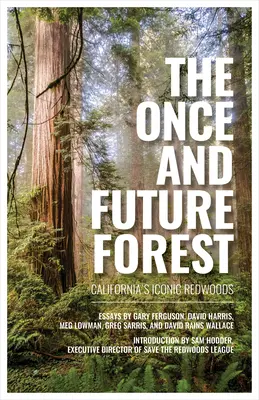 The Once and Future Forest: Redwoods iconice din California - The Once and Future Forest: California's Iconic Redwoods