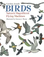 Păsările: Magnificele aparate de zbor ale naturii - Birds: Nature's Magnificent Flying Machines