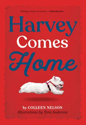 Harvey vine acasă - Harvey Comes Home