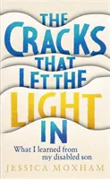 Crăpături care lasă lumina să intre - Ce am învățat de la fiul meu cu handicap - Cracks that Let the Light In - What I learned from my disabled son