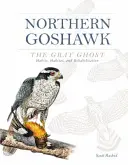 Goshawk-ul nordic, fantoma cenușie: obiceiuri, habitat și reabilitare - Northern Goshawk, the Gray Ghost: Habits, Habitat, and Rehabilitation