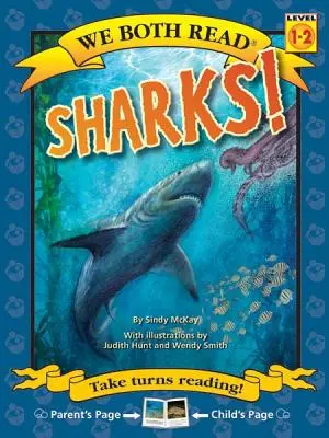 Rechini! - Sharks!