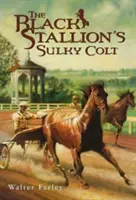 Măgarul încrezut al armăsarului negru: The Black Stallion's Sulky Colt - The Black Stallion's Sulky Colt