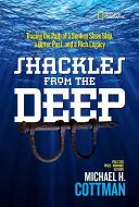 Shackles from the Deep (Cătușe din adâncuri): Urmărirea drumului unei nave sclavagiste scufundate, a unui trecut amar și a unei moșteniri bogate - Shackles from the Deep: Tracing the Path of a Sunken Slave Ship, a Bitter Past, and a Rich Legacy