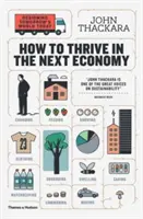 Cum să prosperăm în următoarea economie: Designing Tomorrow's World Today - How to Thrive in the Next Economy: Designing Tomorrow's World Today