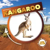 Cangurul - Kangaroo