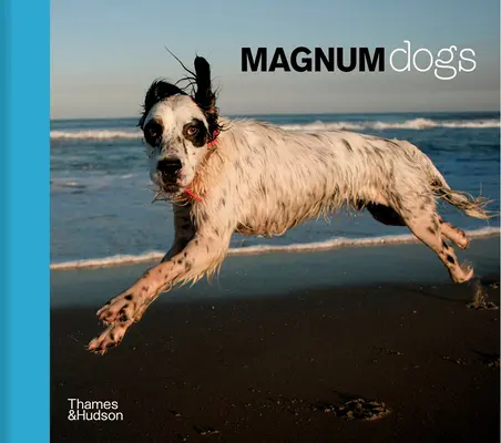 Câini Magnum - Magnum Dogs