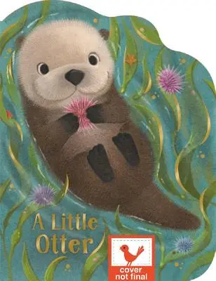 O mică vidră - A Little Otter