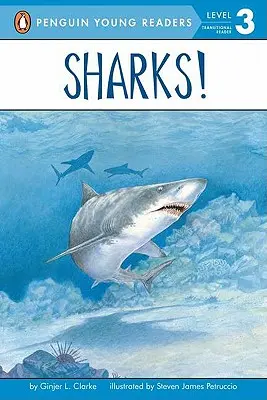 Rechini! - Sharks!