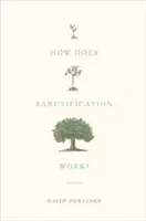 Cum funcționează sfințirea? - How Does Sanctification Work?