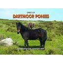 Spiritul poneilor Dartmoor - Spirit of Dartmoor Ponies