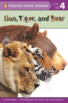 Leul, tigrul și ursul - Lion, Tiger, and Bear