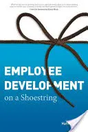 Dezvoltarea angajaților pe un buget redus - Employee Development on a Shoestring