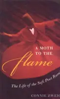 A Moth to the Flame: Viața poetului sufi Rumi - A Moth to the Flame: The Life of the Sufi Poet Rumi