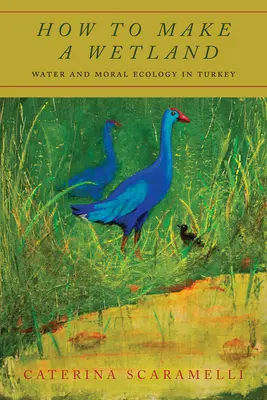 Cum să faci o zonă umedă: Apa și ecologia morală în Turcia - How to Make a Wetland: Water and Moral Ecology in Turkey