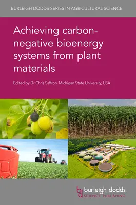 Realizarea unor sisteme bioenergetice fără emisii de carbon din materiale vegetale - Achieving Carbon-Negative Bioenergy Systems from Plant Materials