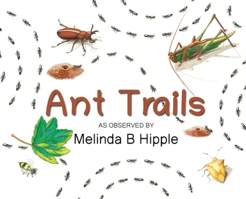 Traseele furnicilor - Ant Trails