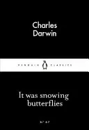 Ningeau fluturi - It Was Snowing Butterflies