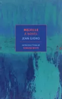 Melville: Un roman - Melville: A Novel