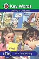 Cuvinte cheie: 11c Cărțile sunt interesante - Key Words: 11c Books are exciting