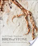 Păsări de piatră: Fosile aviare chinezești din epoca dinozaurilor - Birds of Stone: Chinese Avian Fossils from the Age of Dinosaurs