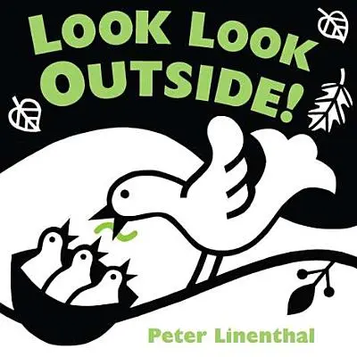Priviți Priviți afară! - Look Look Outside!