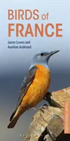 Păsări din Franța - Birds of France