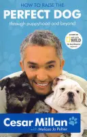 Cum să crești câinele perfect - How to Raise the Perfect Dog