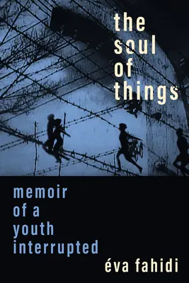 Sufletul lucrurilor: Memoriile unei tinereți întrerupte - The Soul of Things: Memoir of a Youth Interrupted
