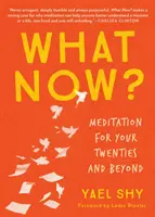 What Now? Meditație pentru cei douăzeci de ani ai tăi și după - What Now?: Meditation for Your Twenties and Beyond